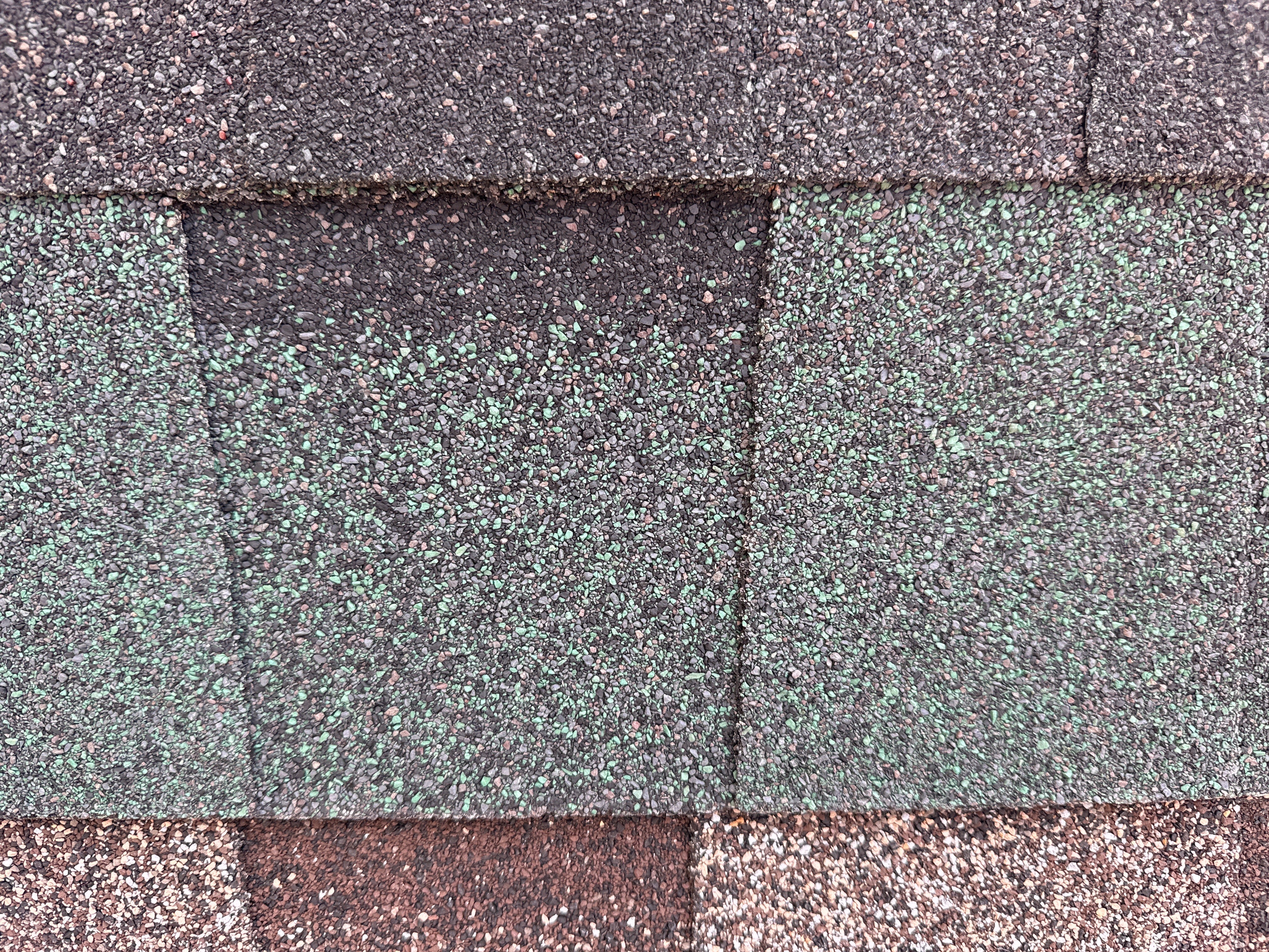 Shingles Green - Reseller