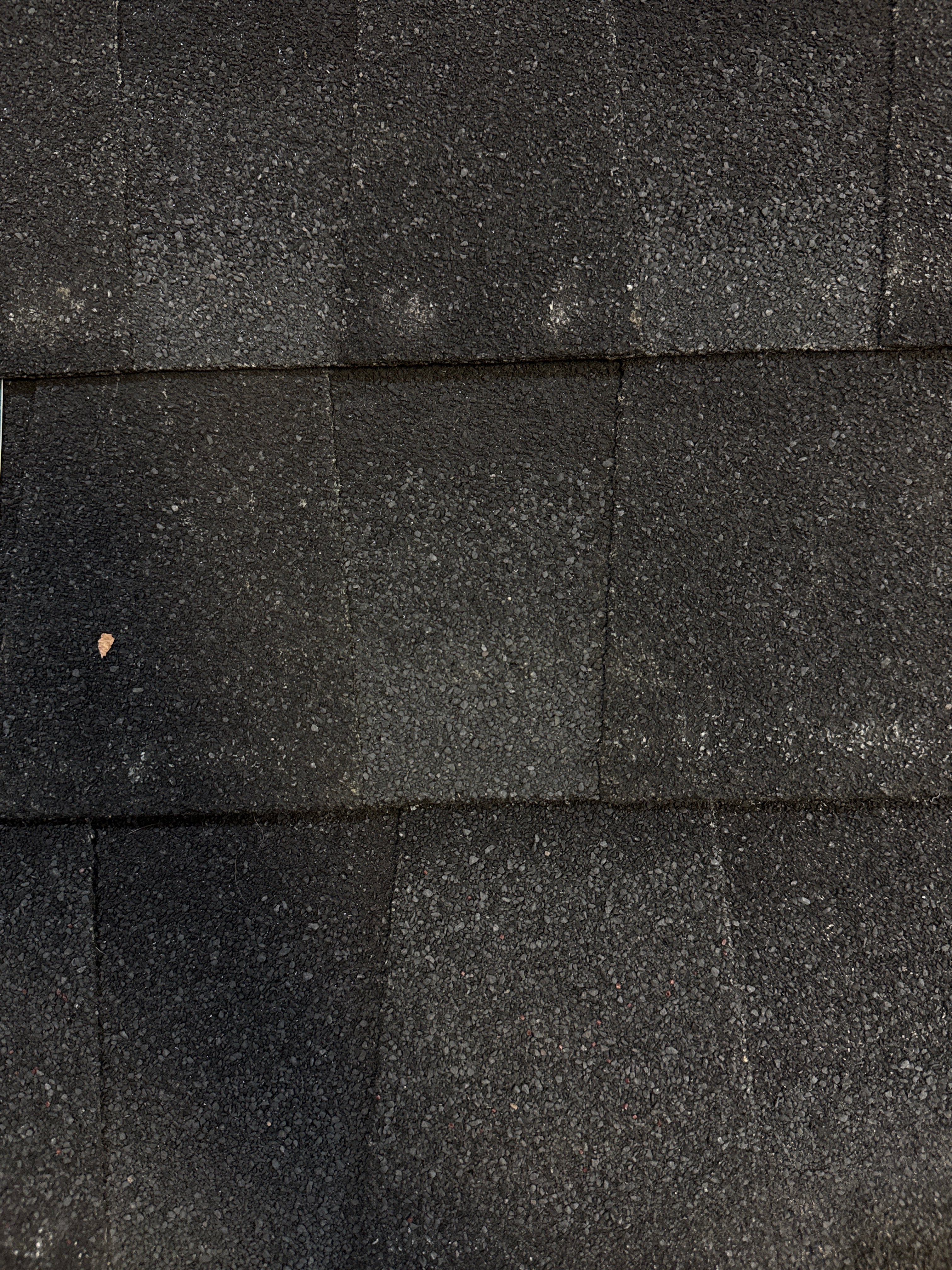 Shingles Charcoal / Black