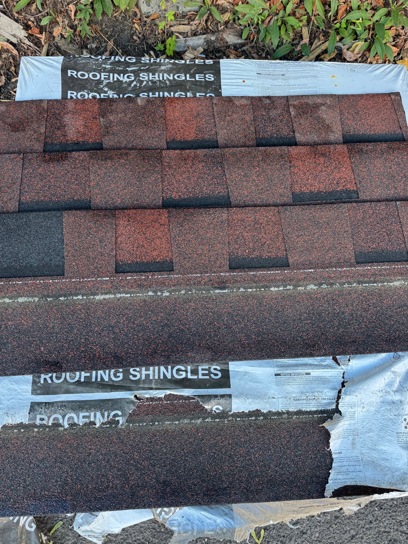 Shingles Mystique Sangria